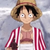 Luffy 22