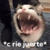 MEMES XD  16