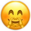 😎🌀🌀 EMOJIS Virales 🌀🌀😎 14