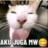 AKU JUGA MW