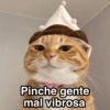 Pinche gente mal vibrosa