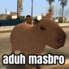 Capybara  7