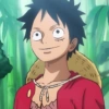 Luffy 23