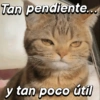 Tan pendiente... y tan poco útil