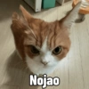 Michis Caóticos🐱 12