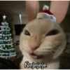 Nejejeje