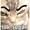 tdk sopan