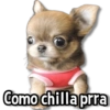 Como chilla prra