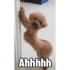 Ahhhhh