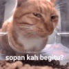 sopan kah begitu?
