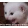 Anime (aleatório) 12