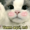 ➳ gato ⊱😽⊱╮
bit.ly/angels-69 26