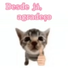 Desde já, agradeço