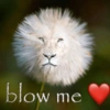 blow me
