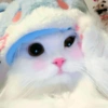 ➳ gato ⊱😽⊱╮
bit.ly/angels-69 18