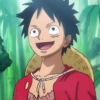 Luffy 20
