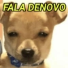 APAGOU A MENSAGEM?  11