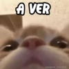😂 MEMES DIVERTIDOS 😎 3 5