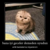 KediliPakıt 6
