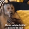 MEMES XD  12