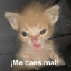 ¡Me caes mal!
