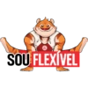 SOU FLEXÍVEL