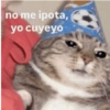 no me ipota, yo cuyeyo goties