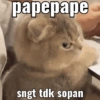 papepape sngt tdk sopan
