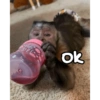 Little ok