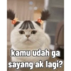 Kucing imlek 8