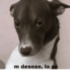 m deseas, lo sé