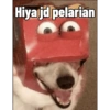 Hiya jd pelarian