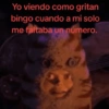 🥚😸Huevo disfrazado de Gato😸🥚 27