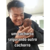 Kpop 7