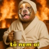 Minhas figurinhas 5