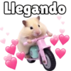Llegando