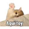 Michis Caóticos🐱 15