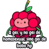 gei, y no gei de homosexual, sino gei de bobo hp