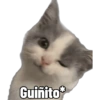 Michis Caóticos🐱 5