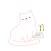 Flower cat fairy 14