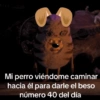 🥚😸Huevo disfrazado de Gato😸🥚 29