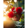 Good morning 23