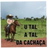 Burro 7