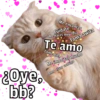 🐱🐾Mishis🐈🐈‍⬛Para Tu Crush💘😻 7