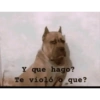 Animales pedorros 8