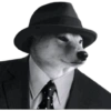 Cute Dogs  7