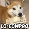 😂 MEMES DIVERTIDOS 😎 3 9