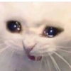 Sad triste 7