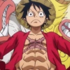 Luffy 15