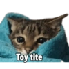 Michis Caóticos🐱 3